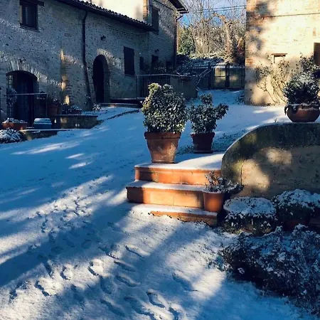 Camiano Piccolo Montefalco