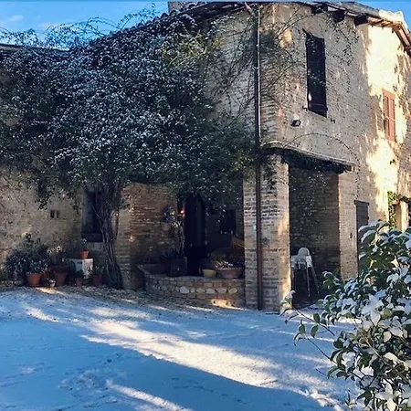 Camiano Piccolo *